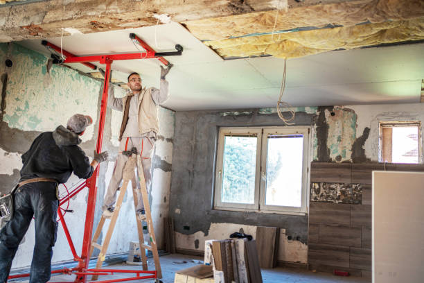 Best Cellulose Insulation in Ionia, MI
