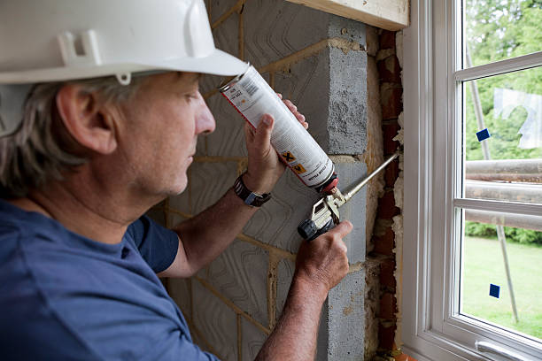 Best DIY Insulation Kits and Guidance in Ionia, MI